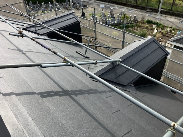 ドーマー・上から確認